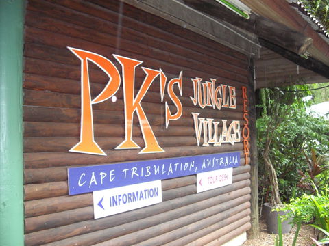 PKs Jungle Village - Hostel - C Tourism 0