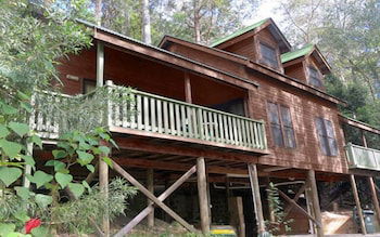 Barrington Wilderness Cedar Lodge Accommodation - C Tourism 0