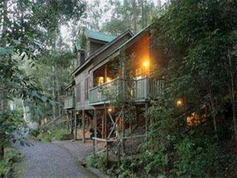 Barrington Wilderness Cedar Lodge Accommodation - C Tourism 2