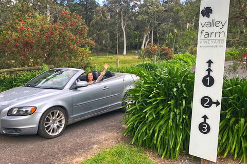 Valley Farm Vineyard Cottages - C Tourism 0