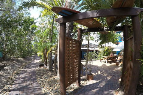 Cool Bananas Backpackers - C Tourism 6