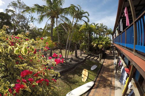 Cool Bananas Backpackers - C Tourism 2