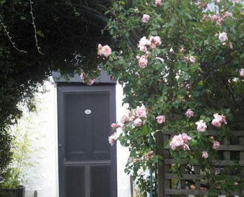 Ivy On Glenelg - C Tourism 0