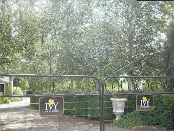 Ivy On Glenelg - C Tourism 2