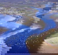 Dolphin Waters Tin Can Bay