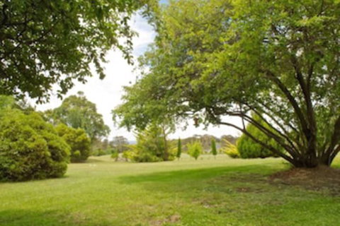 Armidale Rose Villa Motel - C Tourism 2
