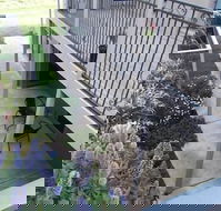 Swan Lake Guest House - C Tourism