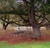 Auburn Shiraz Motel - C Tourism