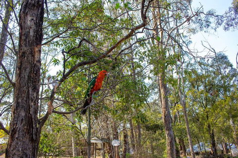 Kalimna Woods Cottages - C Tourism 2