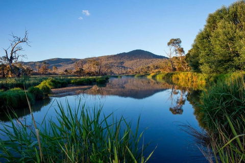 Snowy River Cabins - C Tourism 3