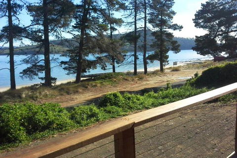 Bruny Island Beachside Accommodation - C Tourism 1