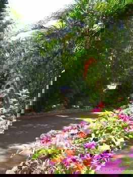 Ivanhoe Village Caravan Resort - C Tourism 2