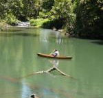 Figtree Getaway - C Tourism