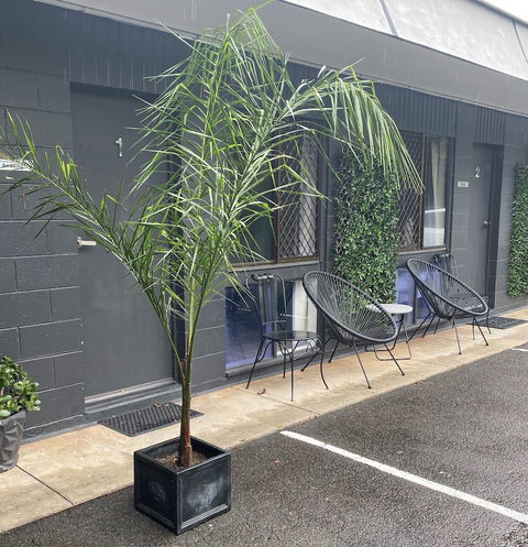 Buderim Fiesta Motel - C Tourism 1
