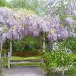 Amelina Cottages - C Tourism 0