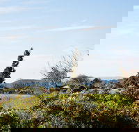 Botanica - C Tourism