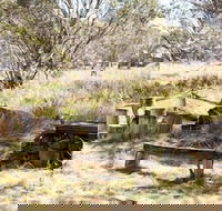 Wrens View - C Tourism