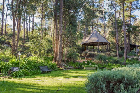 Lavenderpatch - C Tourism 4