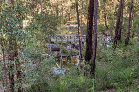 Lavenderpatch - C Tourism 2