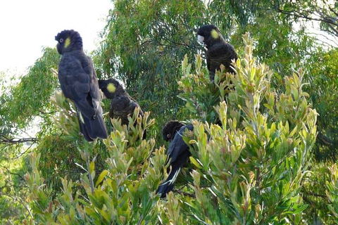 Eagles Rise Tasmania - C Tourism 5