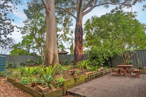 The Pines Bed & Breakfast - C Tourism 0