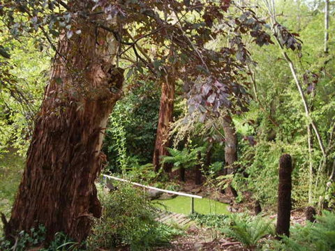 Hilltop - C Tourism 3