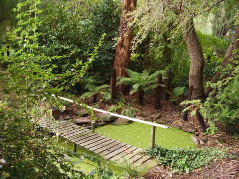 Hilltop - C Tourism 6