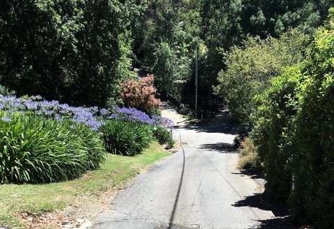 Hilltop - C Tourism 2