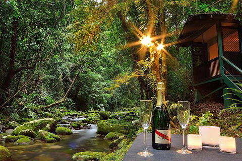 Misty Mountains Rainforest Retreat - C Tourism 3