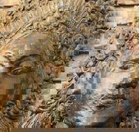 Ballina Palms Boutique Motel - C Tourism