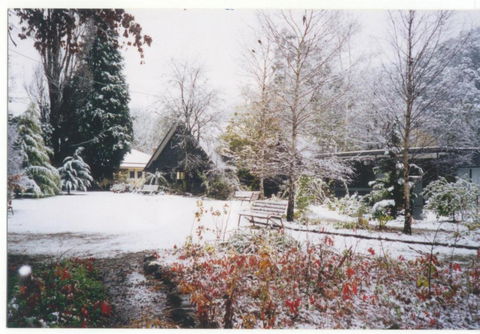 Mountain View Holiday Retreat - C Tourism 6