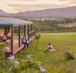 Hanging Tree Wines - C Tourism
