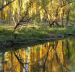 On The Banks - C Tourism