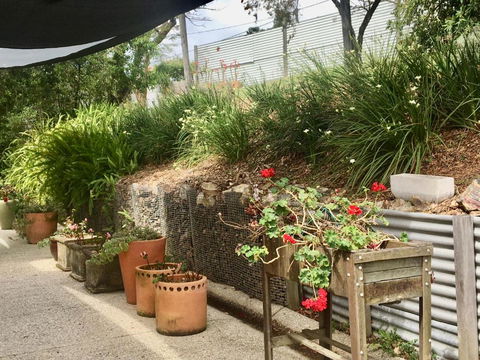 Eumundi Guesthouse & B & B - C Tourism 4