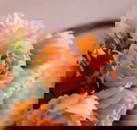 Barossa House - C Tourism