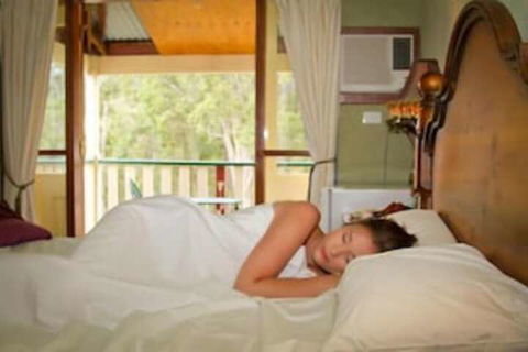 Bimbadeen Mountain Retreat - C Tourism 6