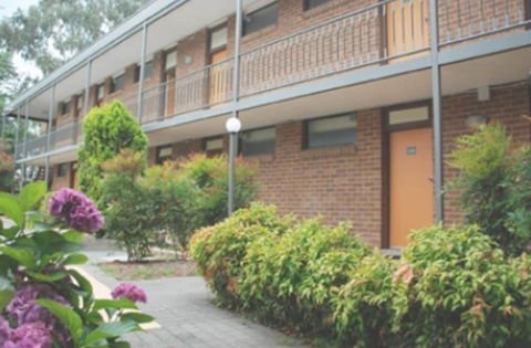 Red Cedars Motel - C Tourism 3