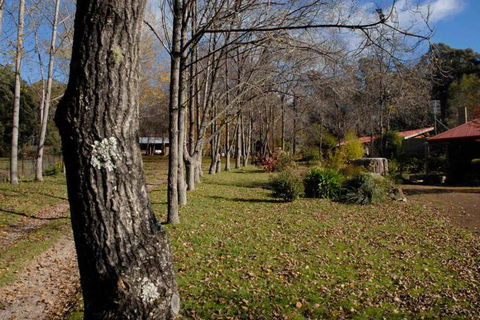 Birdwing Bed & Breakfast Weegena - C Tourism 2