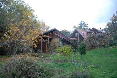 Birdwing Bed & Breakfast Weegena - C Tourism 3