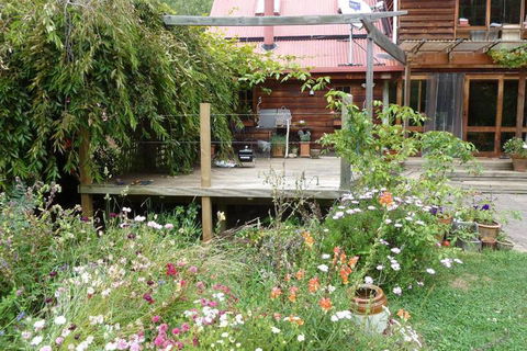Birdwing Bed & Breakfast Weegena - C Tourism 6