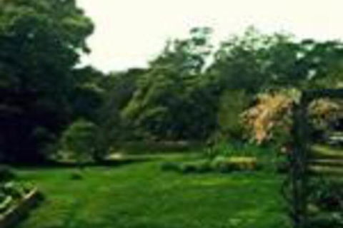Birdwing Bed & Breakfast Weegena - C Tourism 0