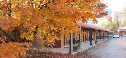 Harrietville Snowline Hotel - C Tourism 2