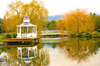 Lakeside Cottage - C Tourism 5