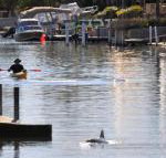 Sunsea Waterfront South Yunderup - C Tourism