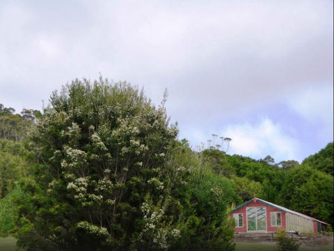 Rocky Glen Retreat King Island - C Tourism 6
