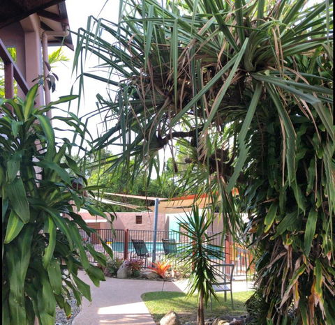 Pandanus Holiday Apartments - C Tourism 4