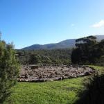 Hawksview At Mafeking - C Tourism 0