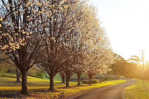 The Drawing Rooms Of Berry - C Tourism 1