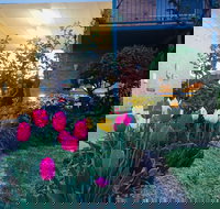 The Vines Motel and Cottages - C Tourism