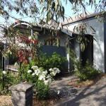 Mews On Frederick - C Tourism 0